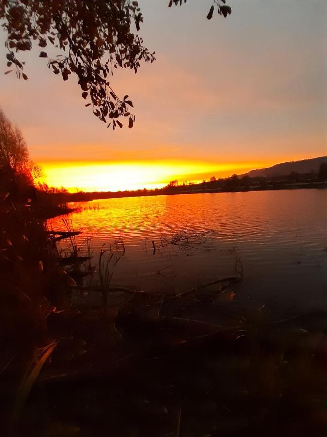 Holiday home Am Weserberglandsee *